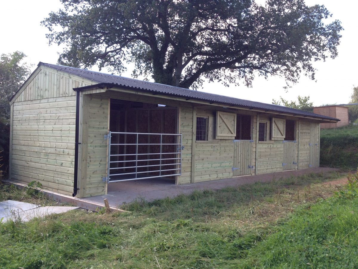 TWO STABLES WITH TACK ROOM & GATED LOOSEBOX Longcross Stables