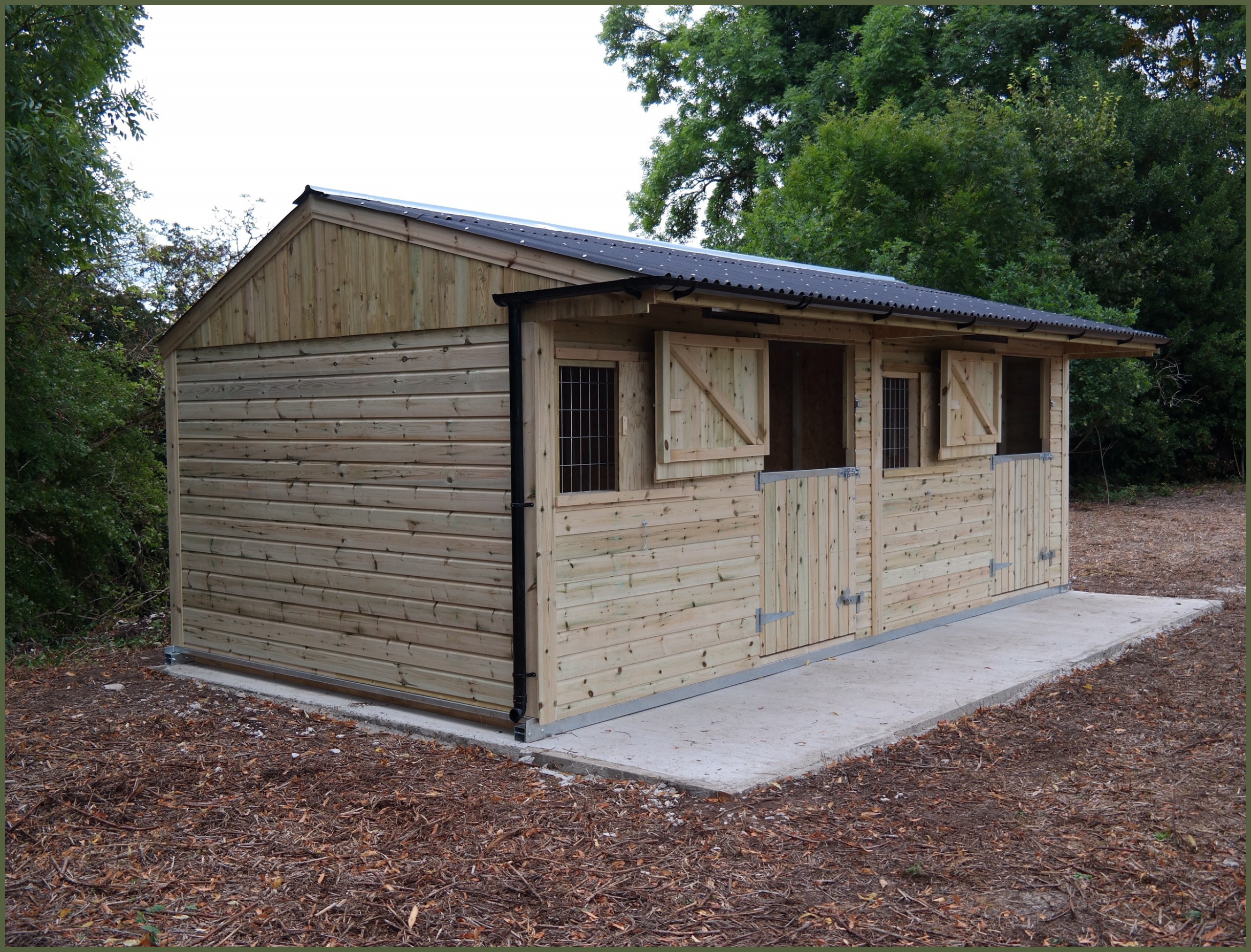 Untitled design (79)