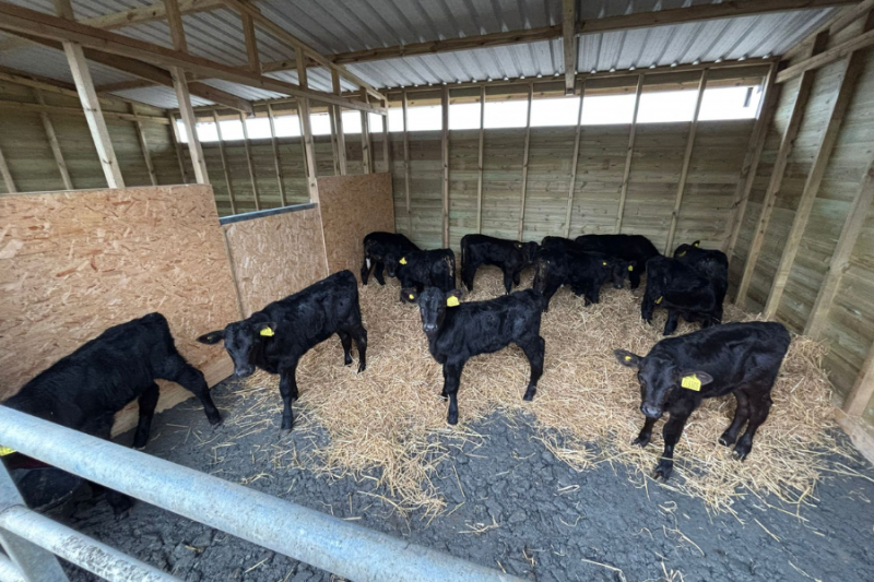 Untitled design (90)