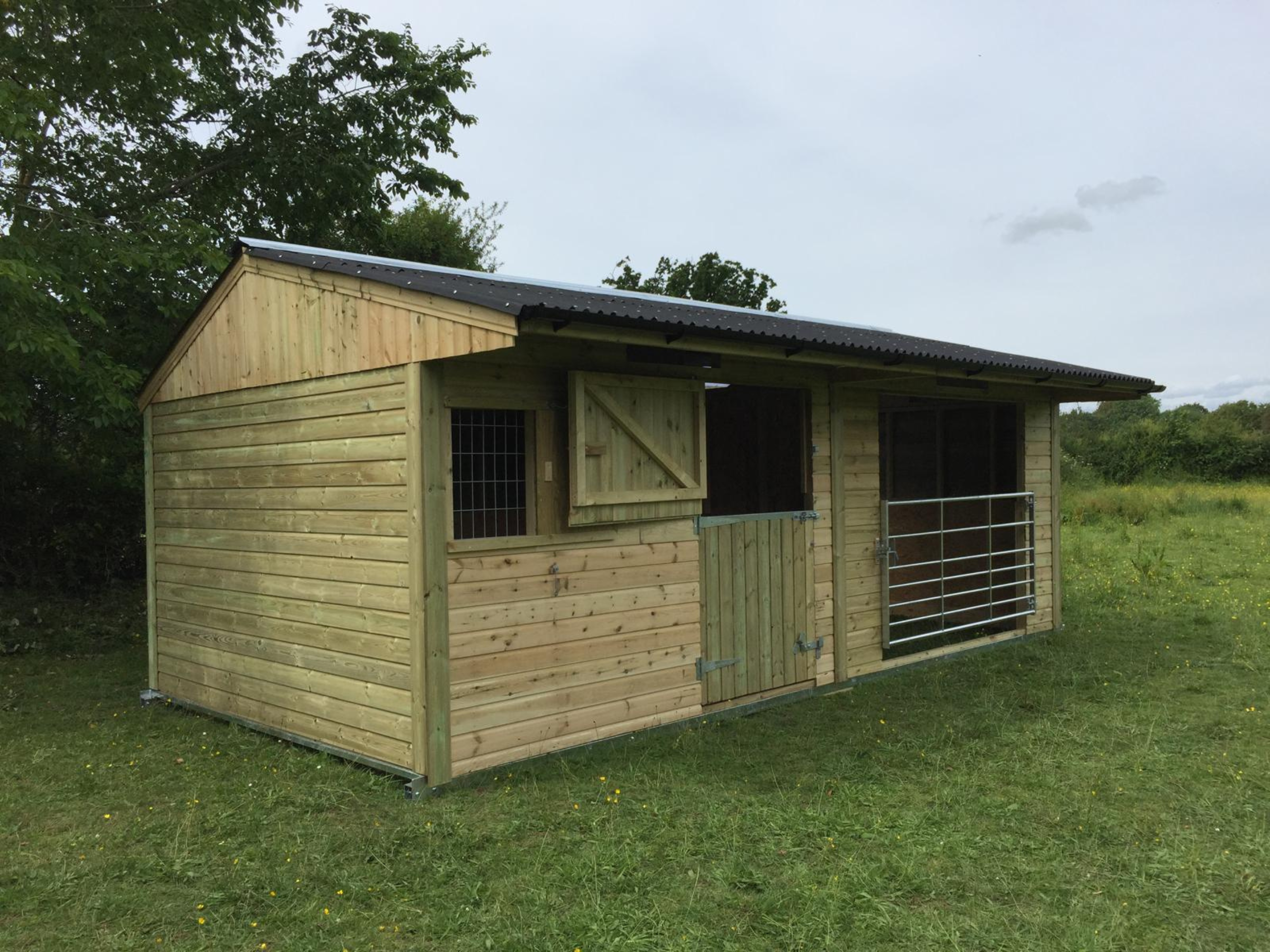 Untitled design – 2026-01-01T223751.853