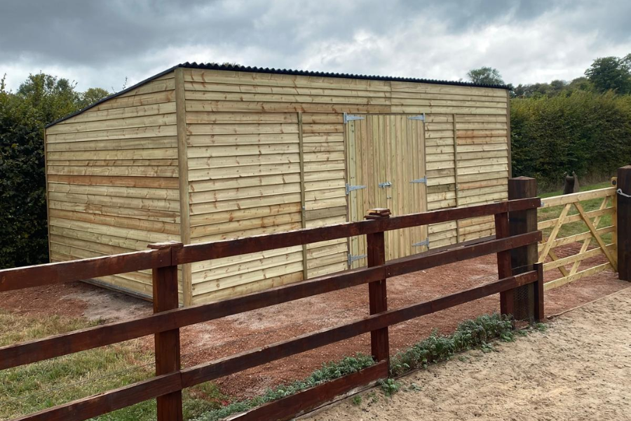 Untitled design – 2026-01-04T185819.901