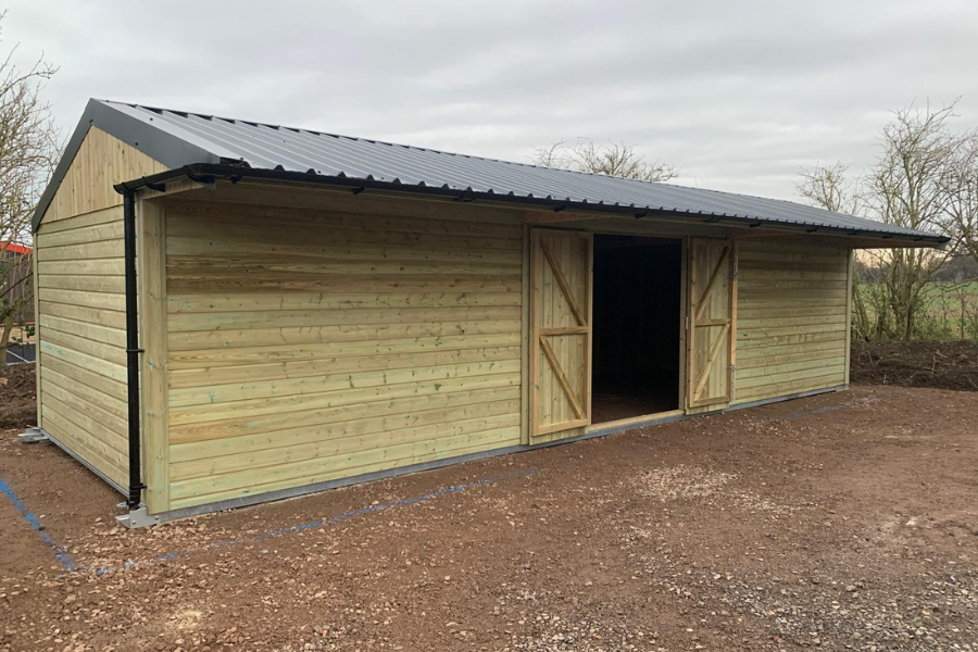 Untitled design – 2026-01-04T185952.834